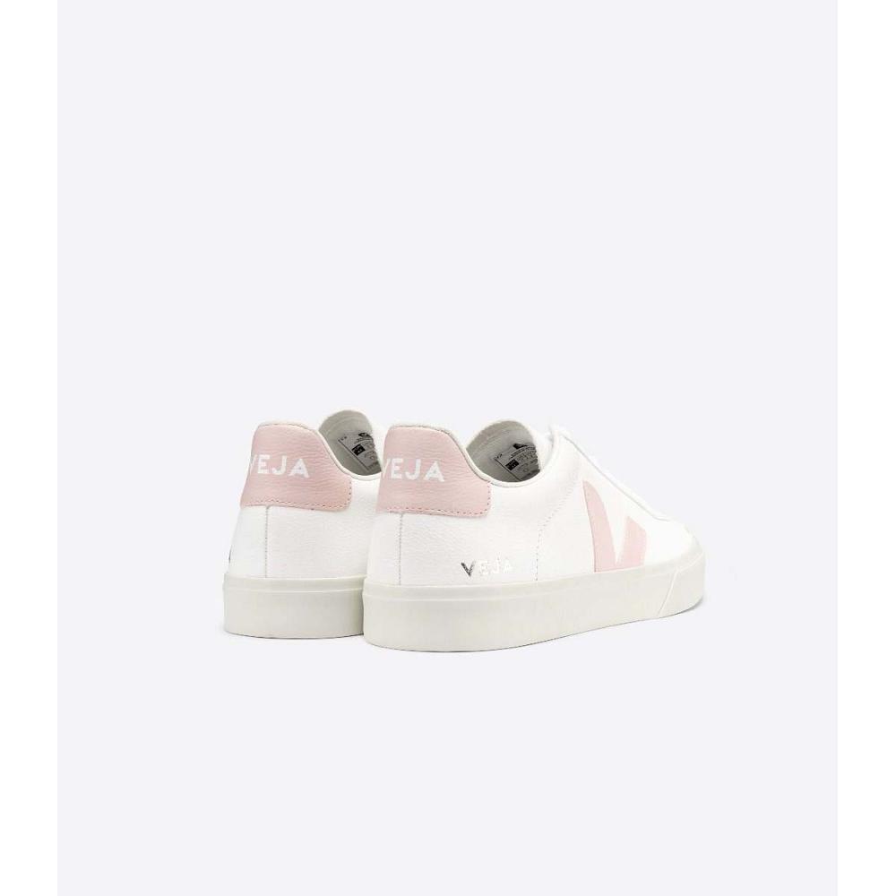 White/Pink Women's Veja CAMPO CHROMEFREE Low Tops Sneakers | AU 463KOR